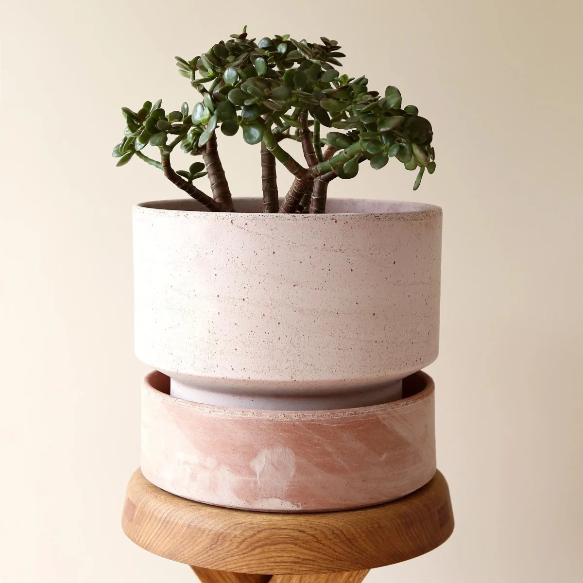 The Hoff Large Pot - Urtepotte - Raw Rose - Billede 7