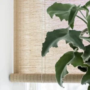 Plante Rullegardin - Brun