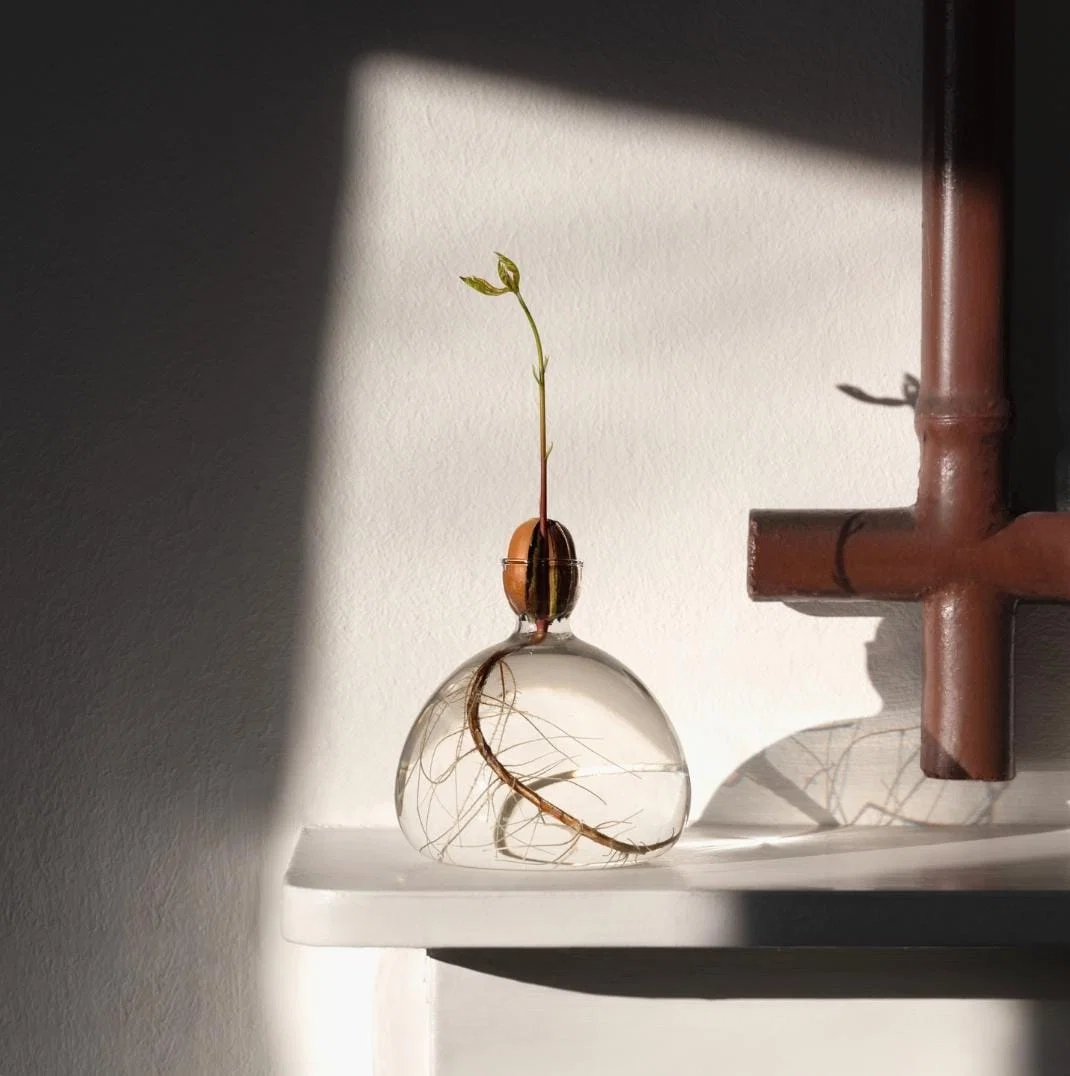 Agern Vase - Clear - Billede 2