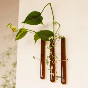 Walleaf 3-Pak, Vægvase - Amber